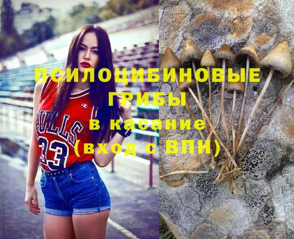 трава Богданович