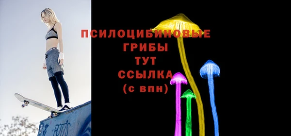 apvp Богородск