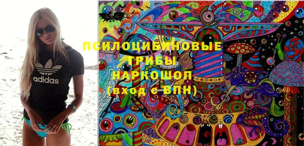apvp Богородск