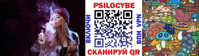 Псилоцибиновые грибы Psilocybe  omg ссылка  Мезень 